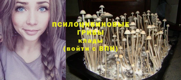 СК Беломорск